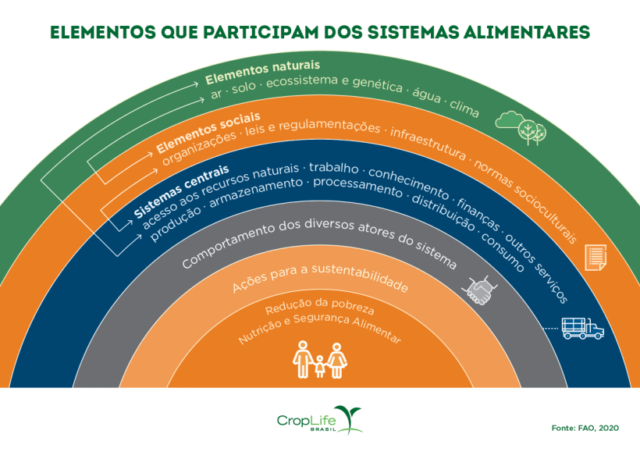 elementos dos sistemas alimentares - gráfico