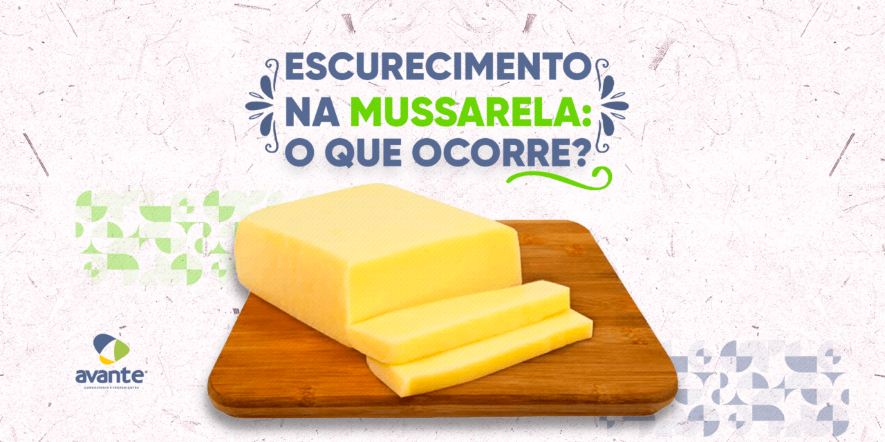 https://www.avanteingredientes.com.br/wp-content/uploads/2023/11/mussarela-browning-blog-1-1280x640.png